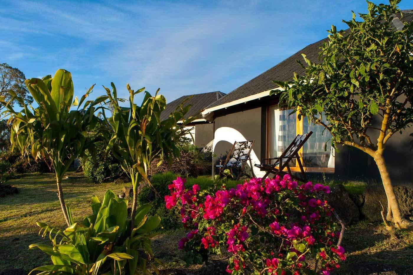 Готель Altiplanico Rapa Nui Анґа-Роа Екстер'єр фото
